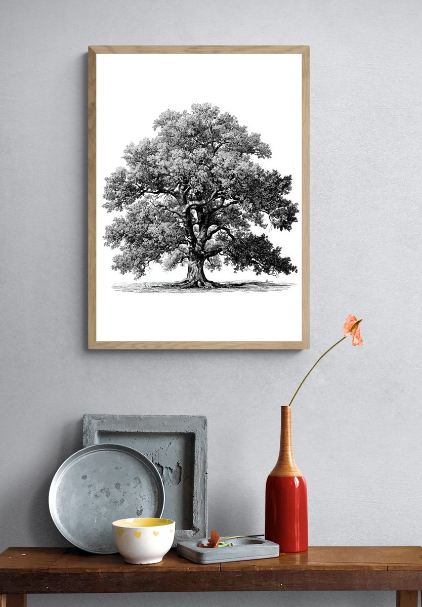 Majestic Oak Tree — Illustration Print. — room view 3