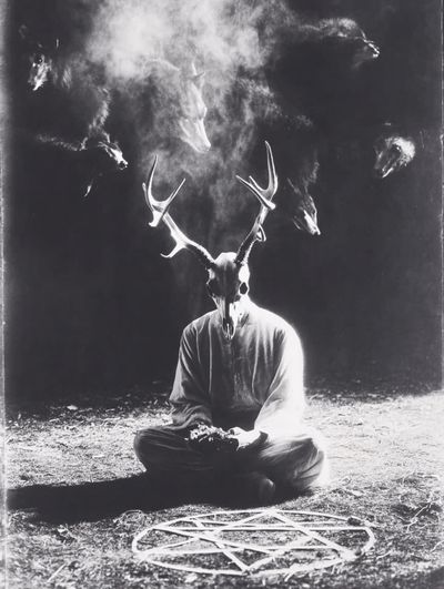 Occult Deer Skull Photography Poster. poster print