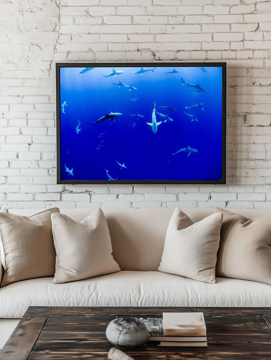 Underwater Sharks — Photography Print. — room view 1