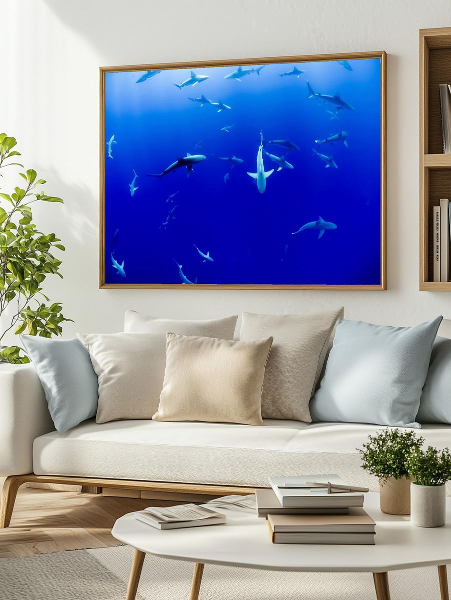 Underwater Sharks — Photography Print. — room view 2
