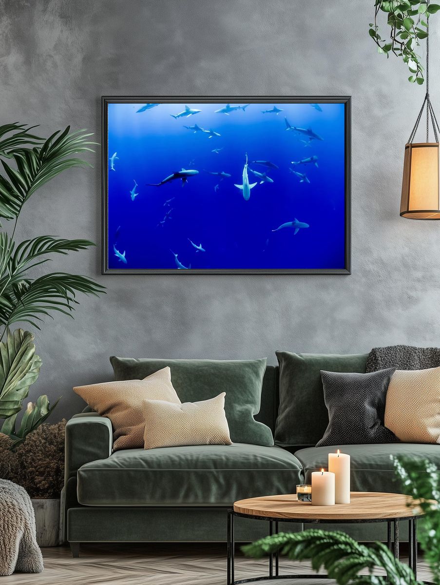Underwater Sharks — Photography Print. — room view 4