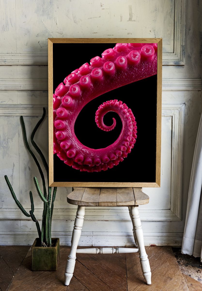 Magenta Octopus Tentacle Abstract Print. room preview