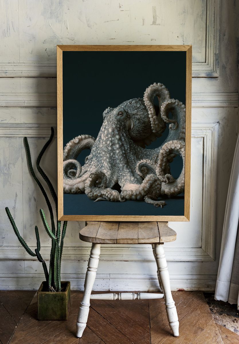 Octopus Portrait Illustration Poster. room preview