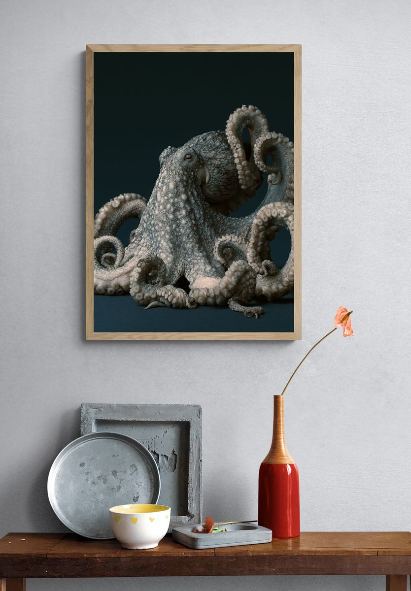 Octopus Portrait Illustration Poster. — room view 3