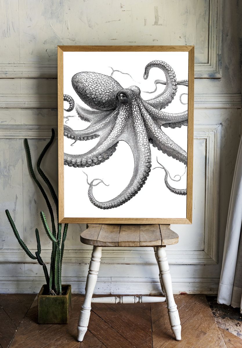 Octopus Ink Illustration Poster. room preview