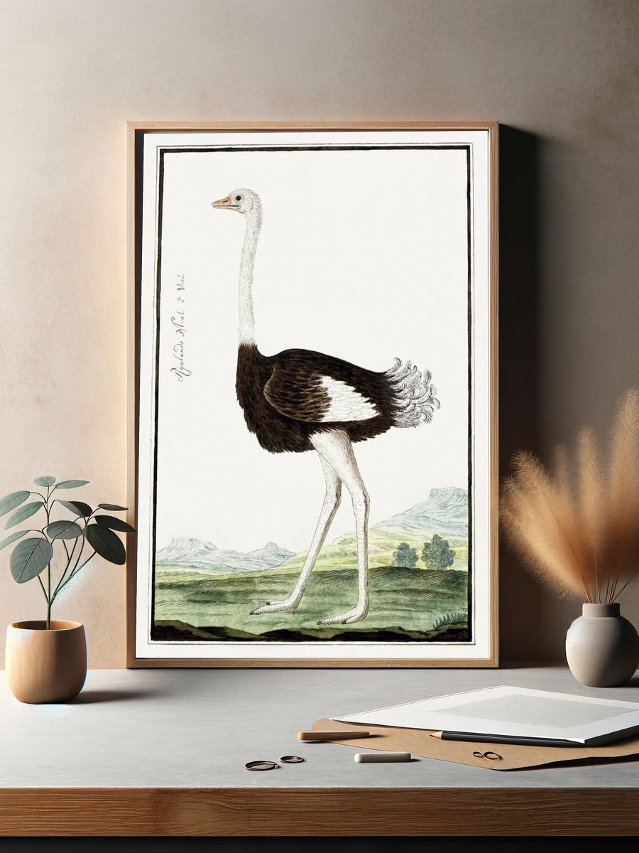 Ostrich Illustration Poster. — room view 2