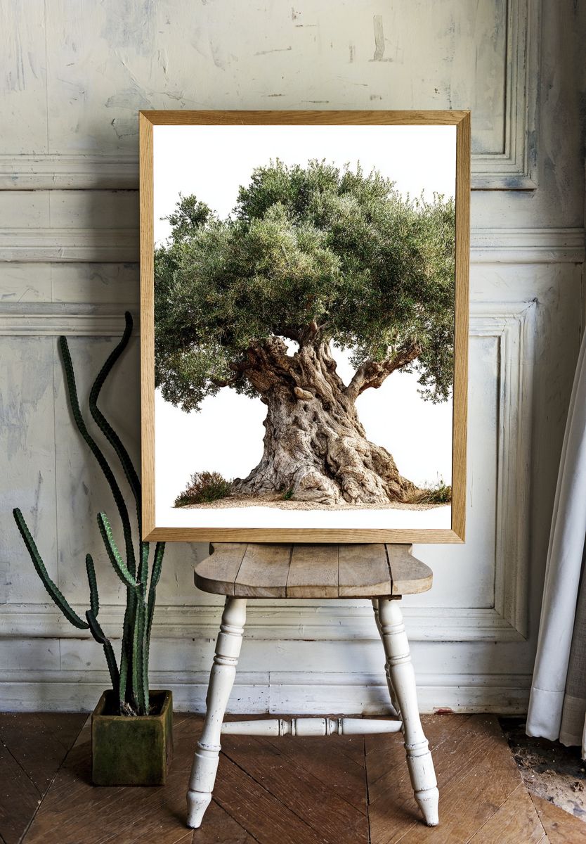 Olive Tree — Nature Print. — room view 1