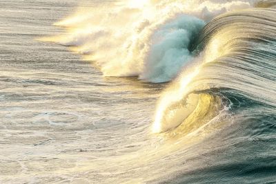 Golden Wave — Nature Print.