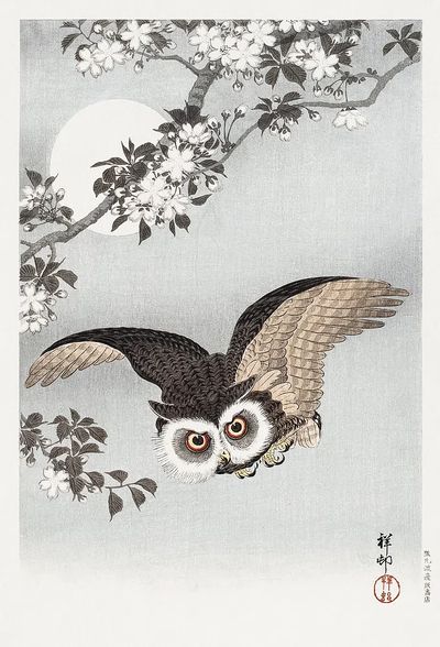 Owl in Flight — Japanese Art Print. poster print