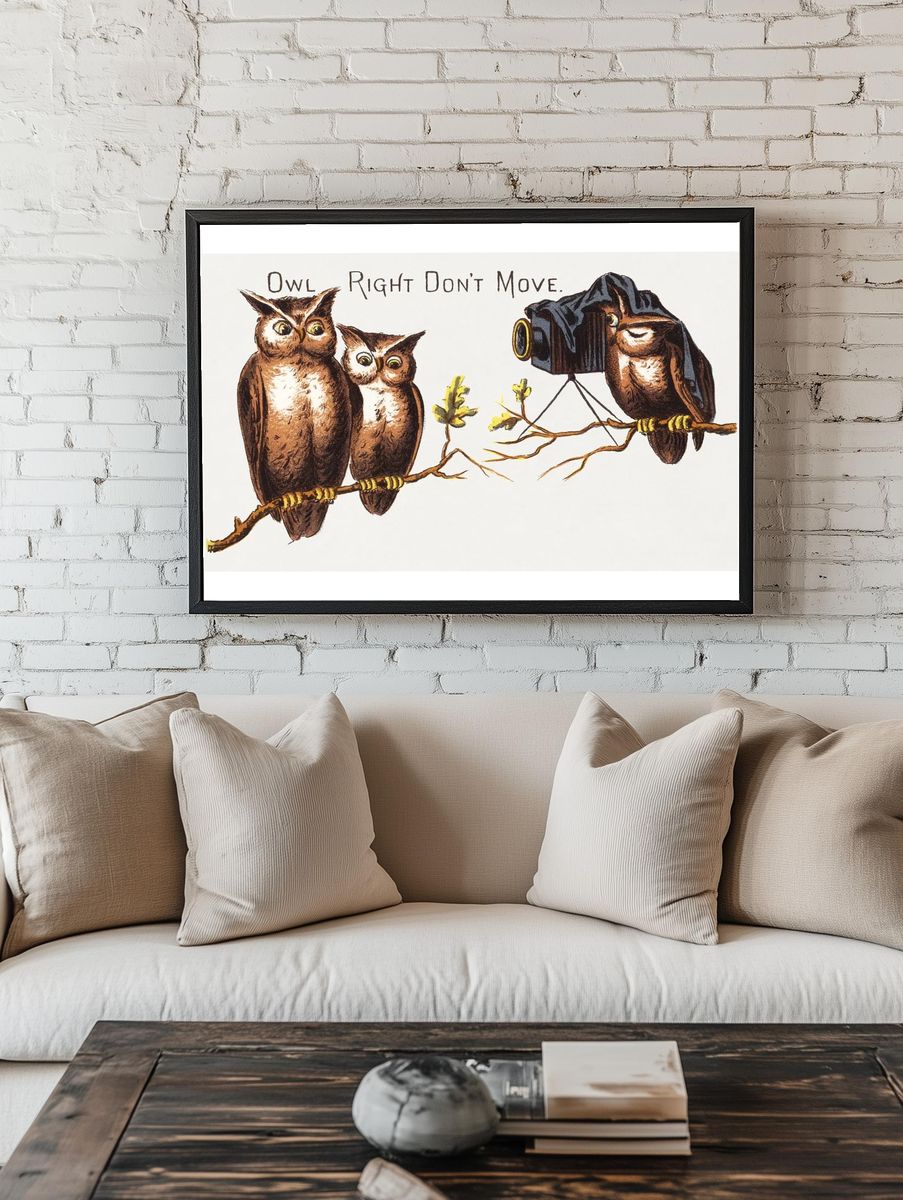 Owl Photography — Funny Print. — room view 1