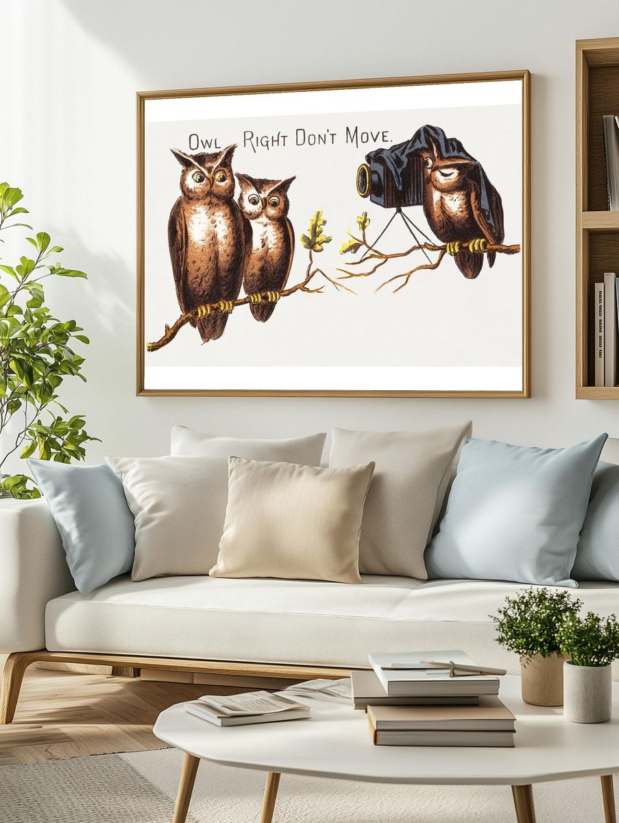Owl Photography — Funny Print. — room view 2