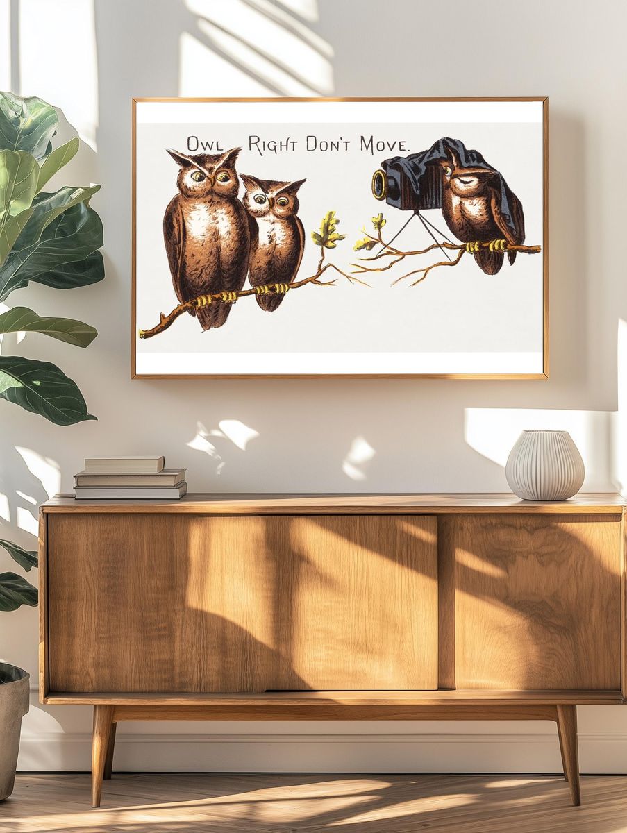 Owl Photography — Funny Print. — room view 3