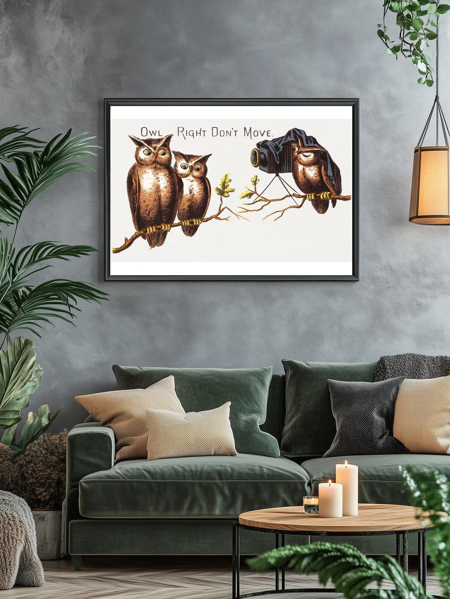 Owl Photography — Funny Print. — room view 4