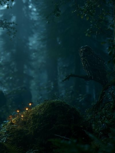 Owl in Misty Forest Poster. poster