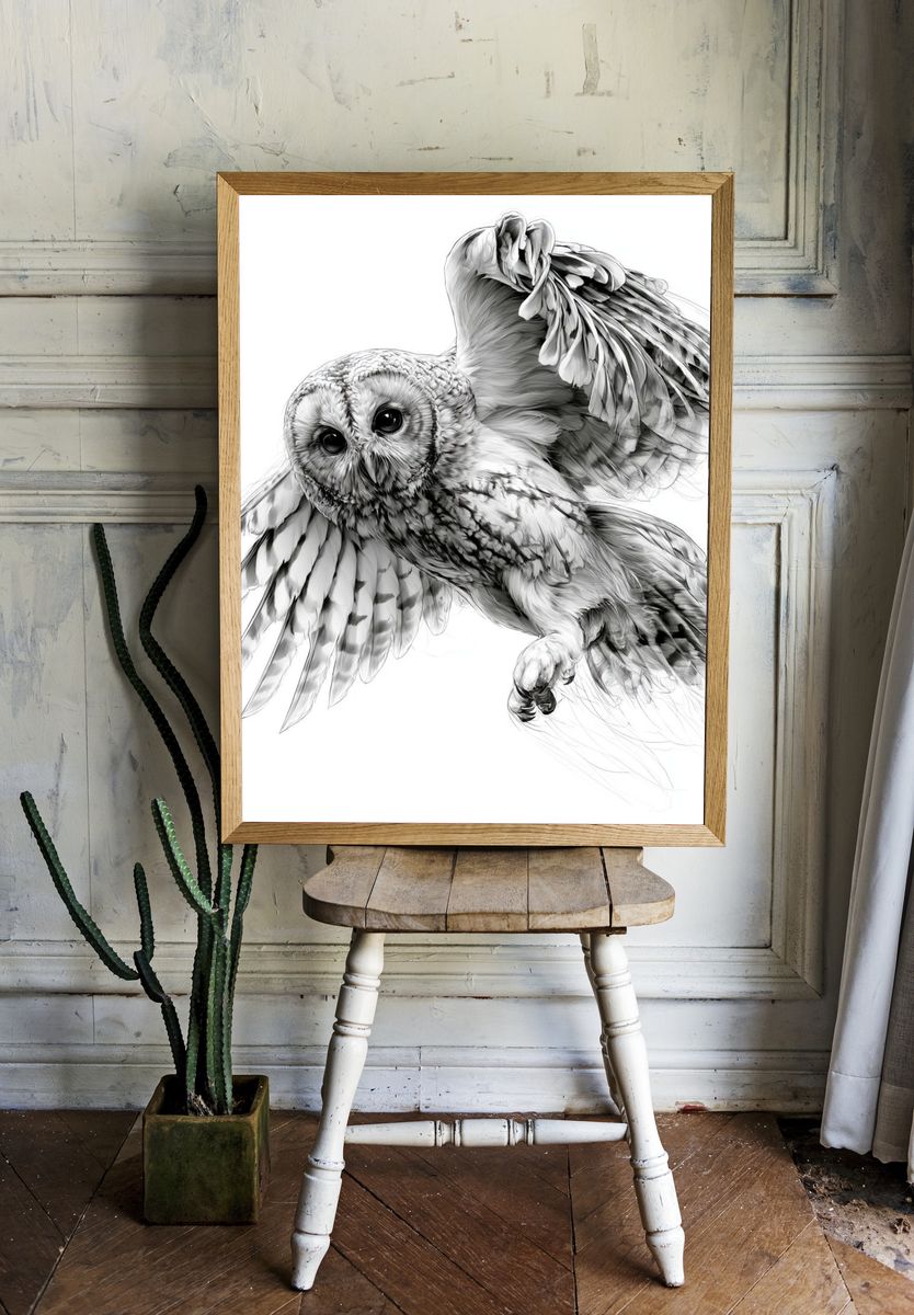 Flying Owl Ink Illustration Poster. room preview