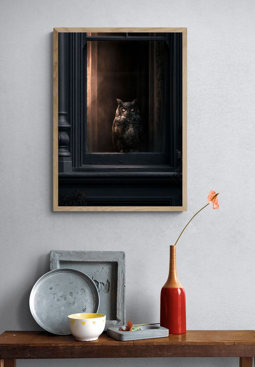 Owl in Window Photography Poster. — room view 3