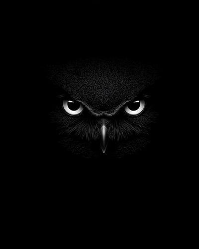Owl Eyes Dark Wildlife Poster.