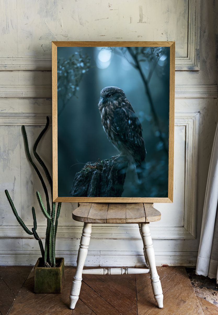 Owl in Moonlit Forest Photography Poster. room preview