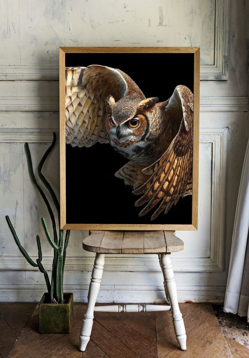 Flying Owl Illustration Poster. — room view 1
