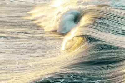 Golden Wave — Ocean Photography Poster. poster