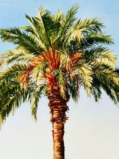 Palm Tree Watercolor Poster.