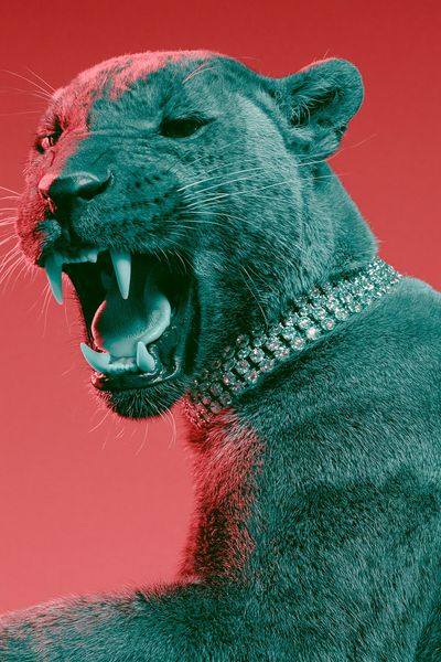 Neon Panther Portrait Print.