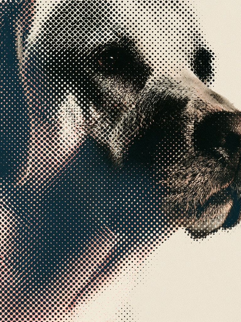 Panda Halftone Portrait Poster. poster — animals art