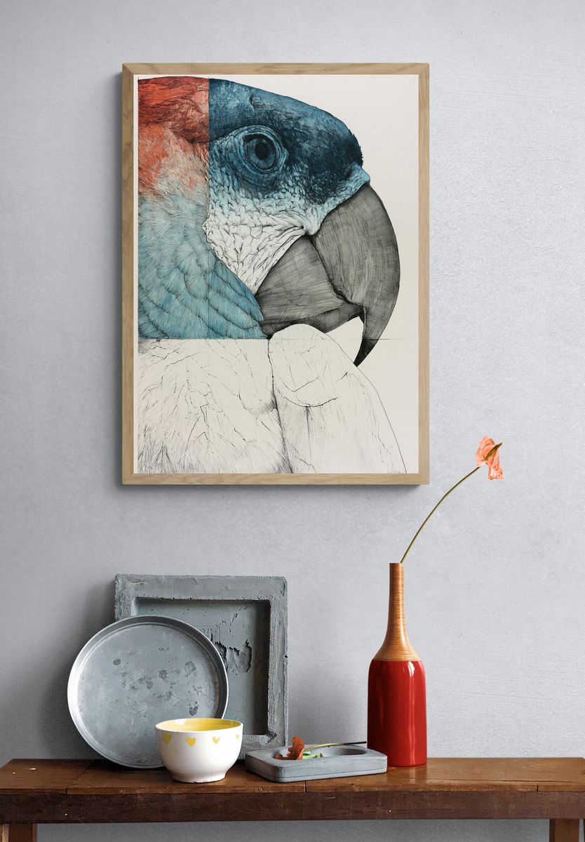 Parrot Portrait Illustration Poster. — room view 3