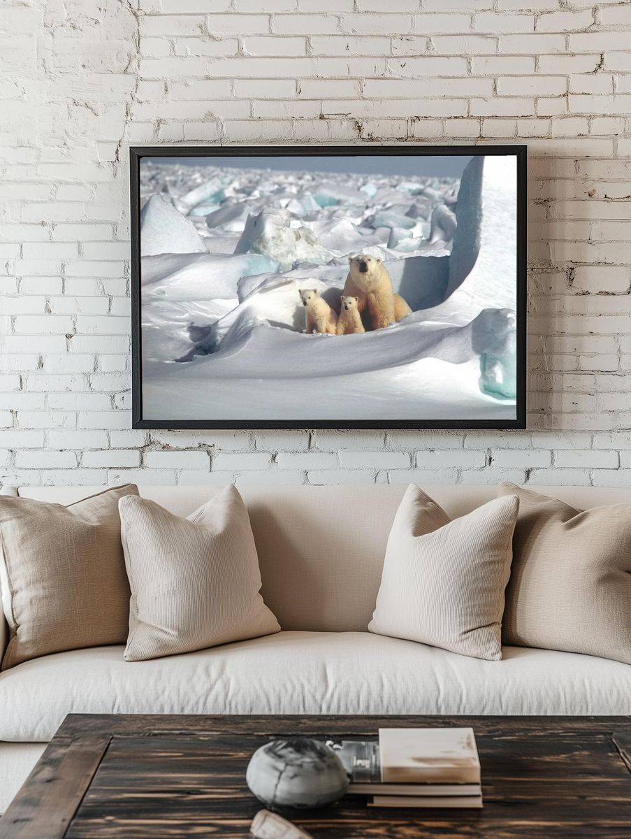 Polar Bears in Snowy Landscape Poster. — room view 1