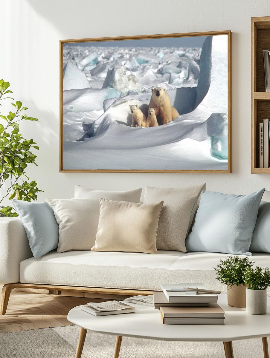 Polar Bears in Snowy Landscape Poster. — room view 2