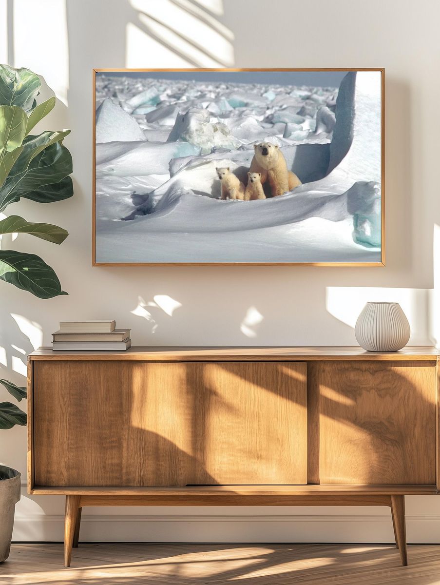 Polar Bears in Snowy Landscape Poster. — room view 3
