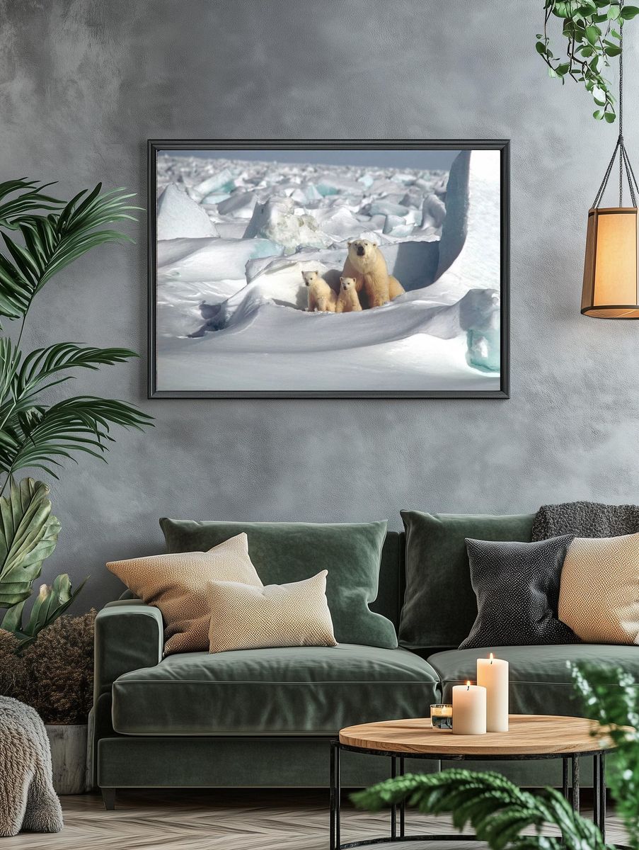 Polar Bears in Snowy Landscape Poster. — room view 4