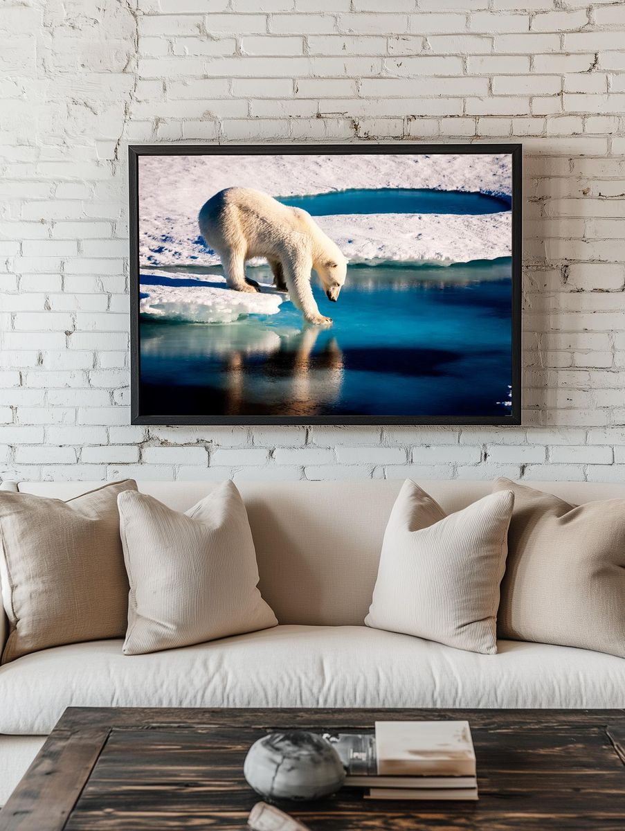 Polar bear Arctic. Original NASA. room preview