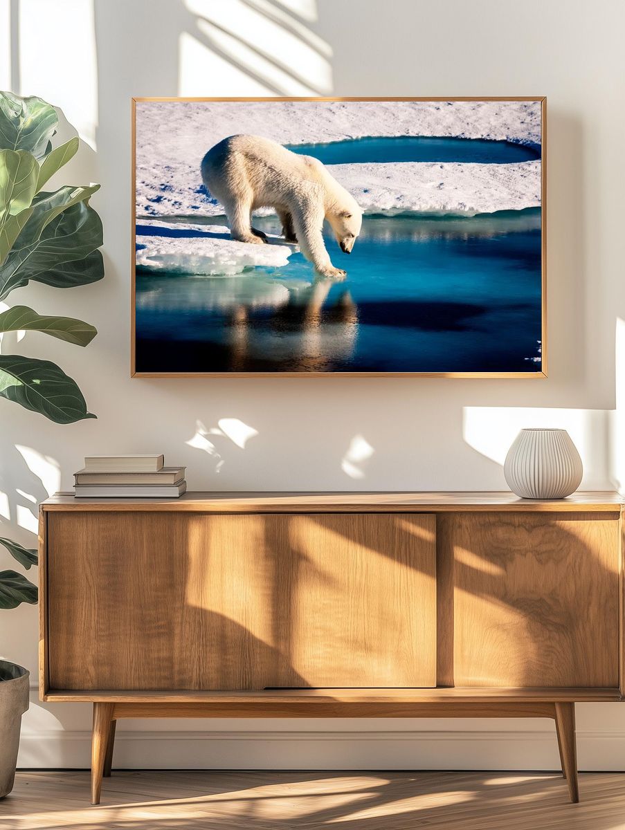 Polar bear Arctic. Original NASA. — room view 3