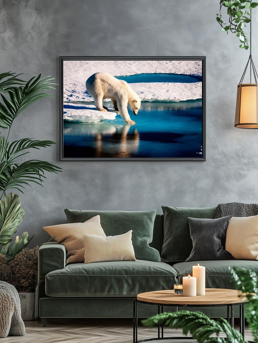 Polar bear Arctic. Original NASA. — room view 4