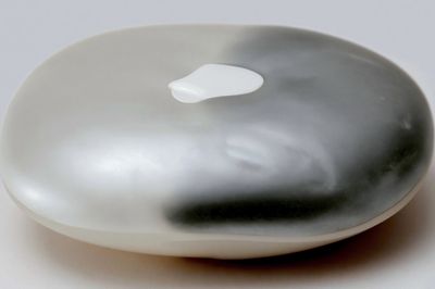 Smooth Pebble Still Life Print.