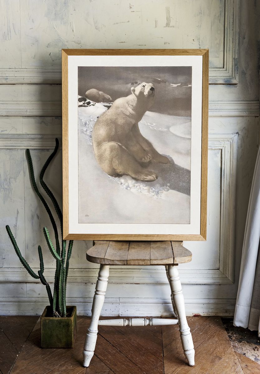 Polar Bear in Snow — Fine Art Print. — room view 1