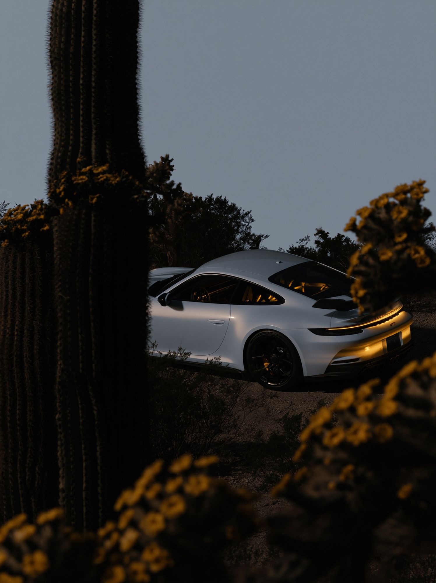 Desert Porsche 911 GT3 Photography Poster. poster detail