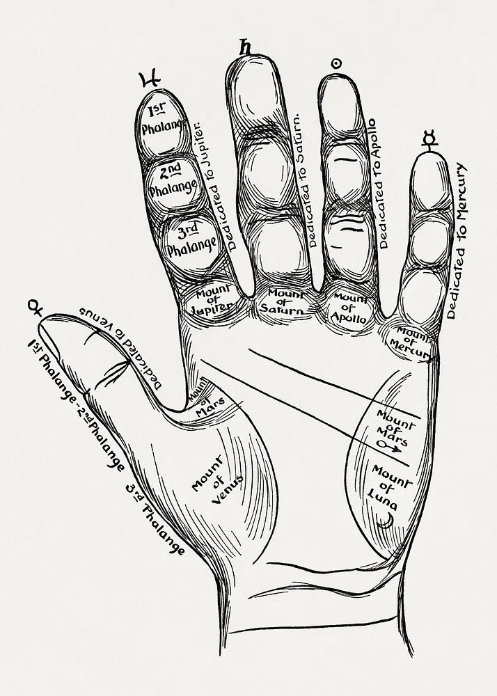 Palmistry Hand Chart — Vintage Print. poster detail