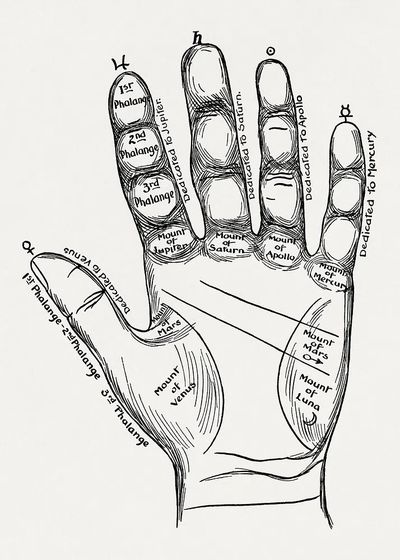 Palmistry Hand Chart — Vintage Print