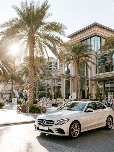 Palm Boulevard Luxury Car Poster. poster