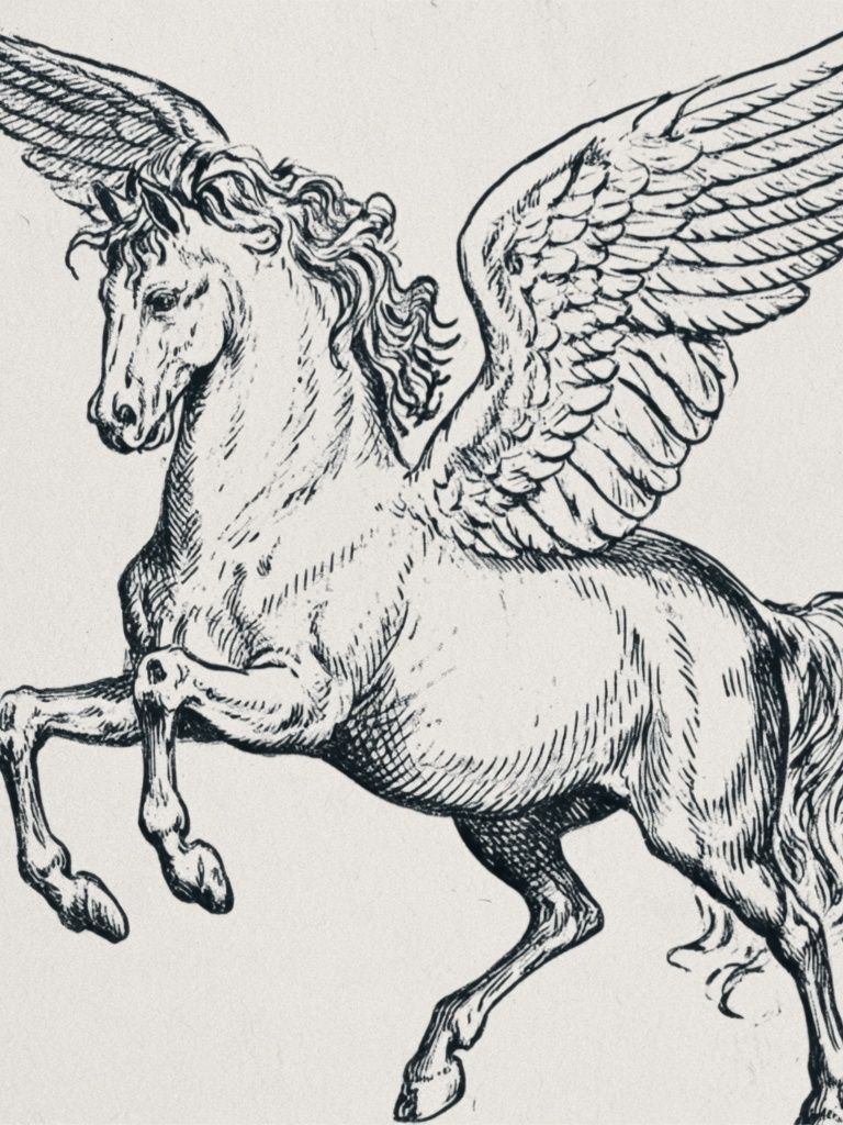 Winged Pegasus Ink Print. poster — animals art