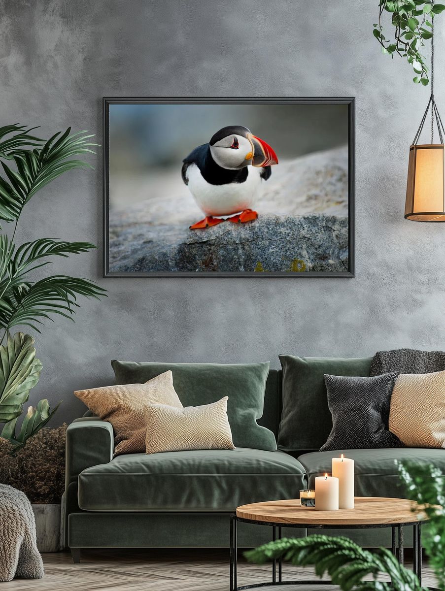 Puffin Bird Photography Poster. — room view 4