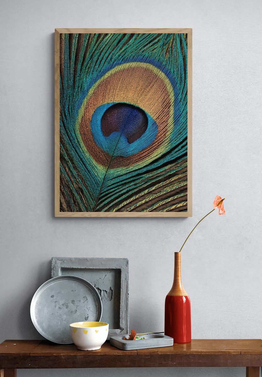 Peacock Feather Close-Up Print. — room view 3