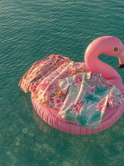 Pink Flamingo Float Poster. poster print