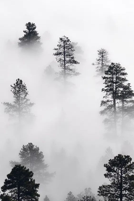 iPhone wallpaper winter landscape background. poster detail