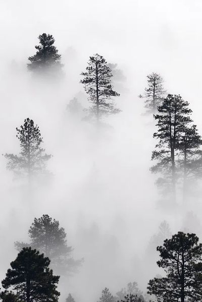 iPhone wallpaper winter landscape background. poster print