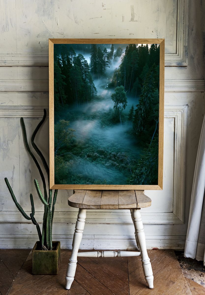 Misty Pine Forest Sunrise Poster. — room view 1