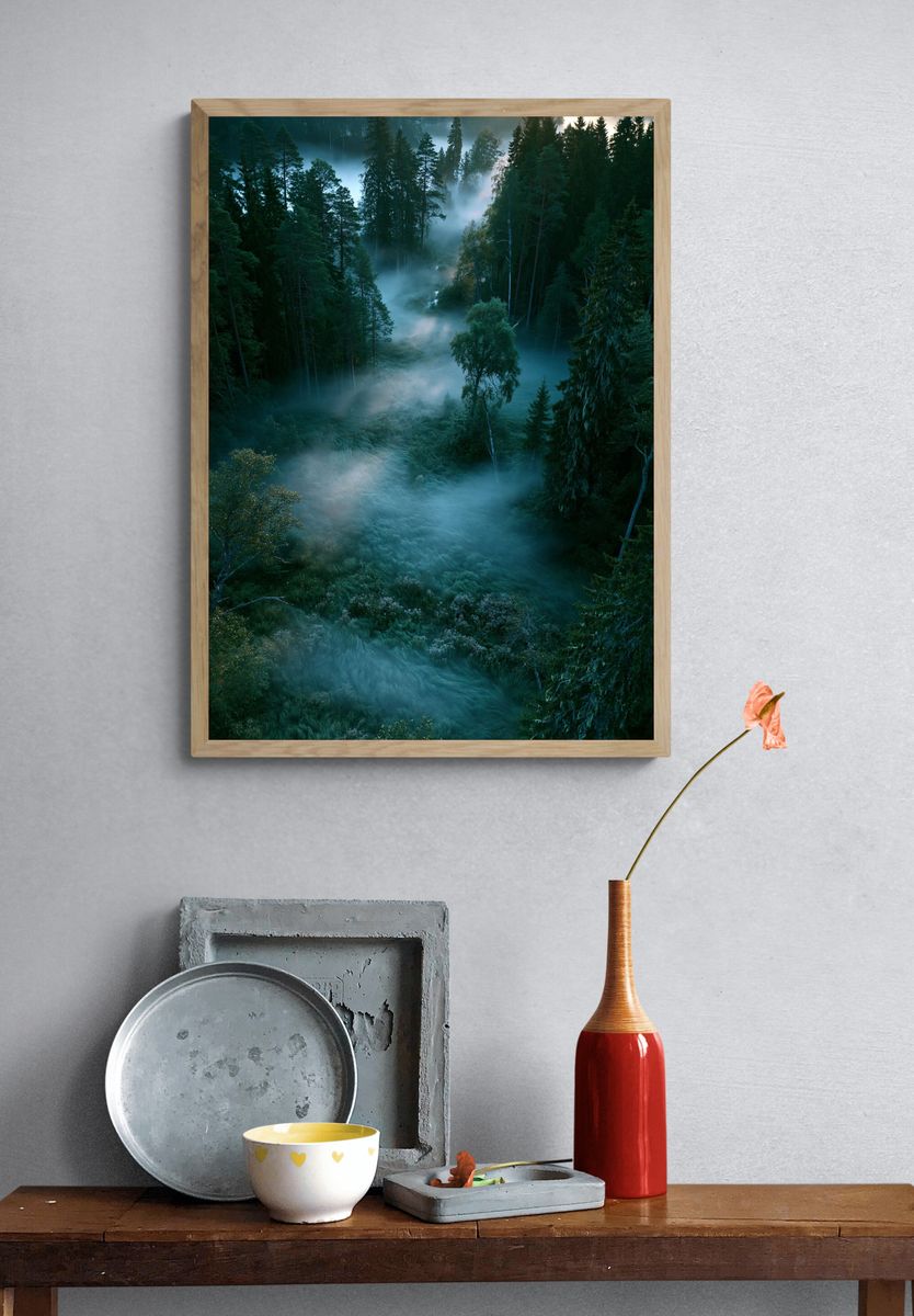Misty Pine Forest Sunrise Poster. — room view 3