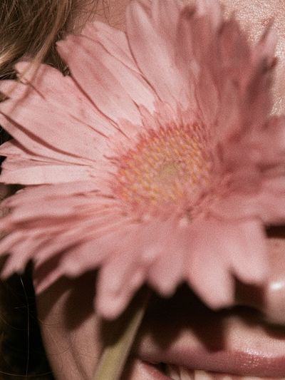 Pink Flower Face Close-Up Photography Poster.